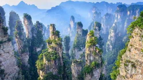 湖南张家界天气预报最新-湖南张家界天气预报-第3张图片-雾华天气