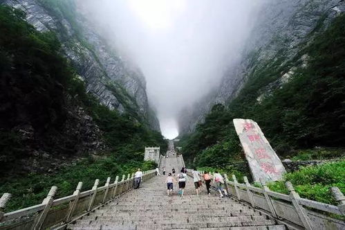 天门天气预报40天-天门40天天气趋势-第1张图片-雾华天气
