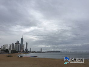 山东烟台天气预报15天查询-山东烟台天气预报15天查询结果-第1张图片-雾华天气