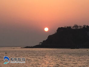山东烟台天气预报15天查询-山东烟台天气预报15天查询结果-第2张图片-雾华天气