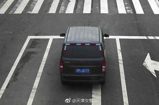 山东限号吗外地车限吗-山东限号-第2张图片-雾华天气