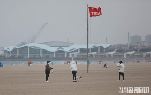 青岛天气 24小时-青岛天气预报24小时-第1张图片-雾华天气