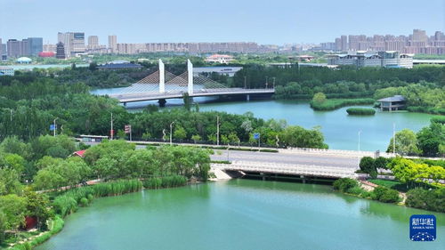 宁夏天气预报一周天气-宁夏天气预报一周,7天,10天,15天,未来-第2张图片-雾华天气