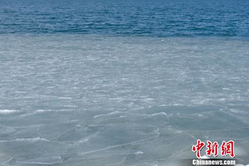 青海十五天天气预报15天查询结果-青海15日天气预报-第1张图片-雾华天气
