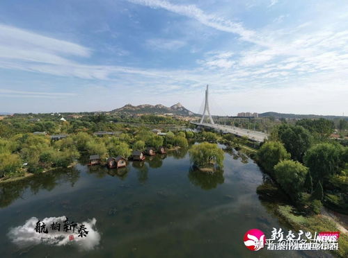新泰天气预报一周天气-新泰最新天气预报一周-第3张图片-雾华天气