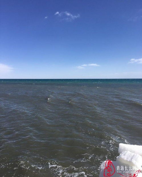 青海湖未来几天天气预报-青海湖未来15天天气预报-第1张图片-雾华天气