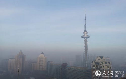 哈尔滨市天气-哈尔滨市天气预报60天详情-第1张图片-雾华天气