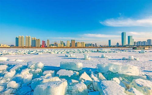 哈尔滨市天气-哈尔滨市天气预报60天详情-第3张图片-雾华天气