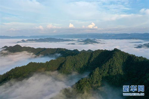 利川天气预报15天-利川天气预报-第2张图片-雾华天气
