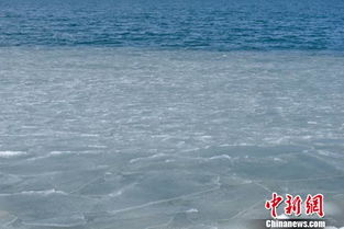 青海湖天气15天查询-青海湖天气15天查询表格最新版-第1张图片-雾华天气
