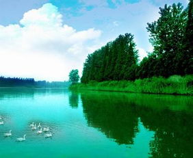 临淄天气预报一周天气-临淄天气预报15天-第1张图片-雾华天气